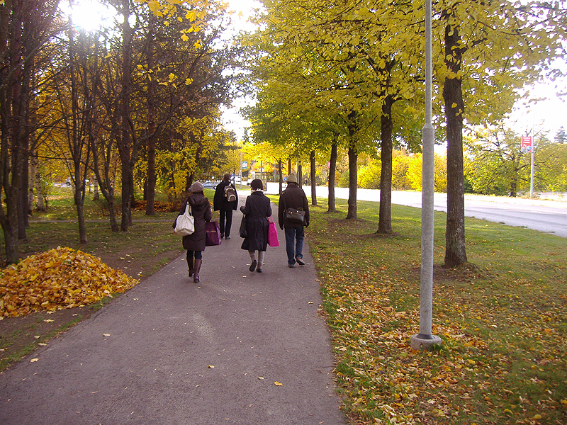 �^�C�g�� #5